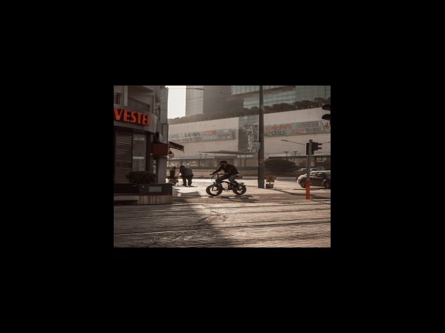 해독 작용