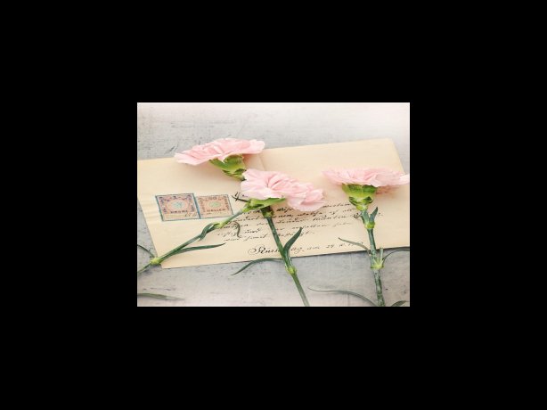 리스 검증 필요 서류