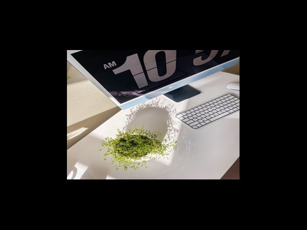 카무트 효소 효능